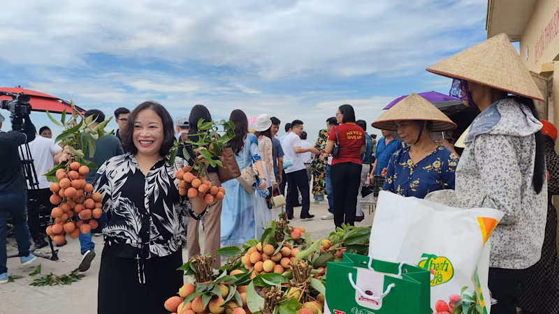 Du khách trải nghiệm thu hoạch và thưởng thức vải thiều tại xã Thanh Sơn, huyện Thanh Hà.