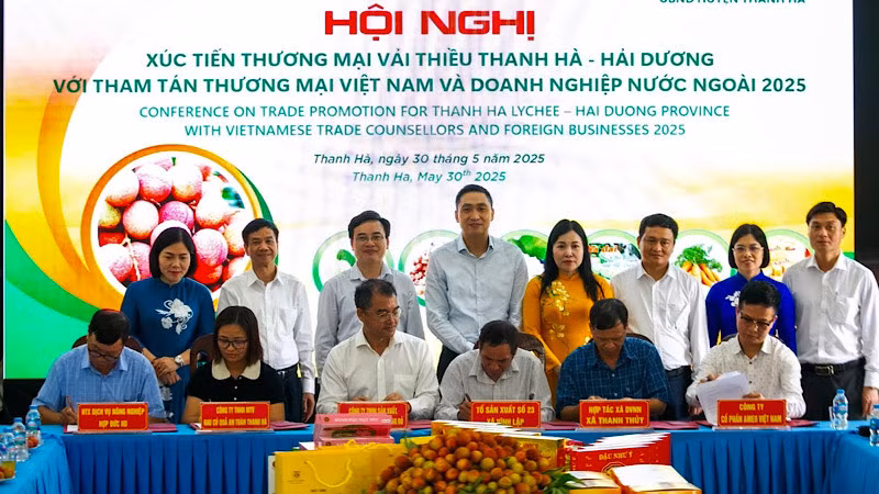 Các doanh nghiệp ký cam kết tiêu thụ vải thiều với các hợp tác xã ở Thanh Hà. Các doanh nghiệp ký cam kết tiêu thụ vải thiều với các hợp tác xã ở Thanh Hà.