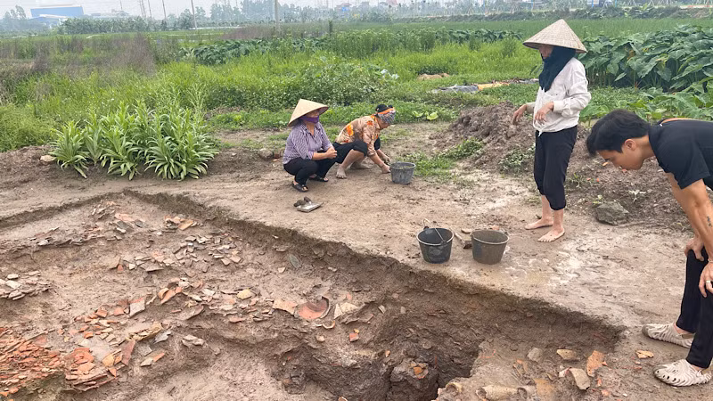 Khu khảo cổ di tích Thành Dền nằm trên thửa ruộng nhà bà Đào Thị Nhung ở thôn Ngọc Lặc.