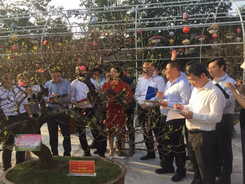 Ban Giám khảo đang nhận xét, chấm điểm cho các tác phẩm lọt vào vòng chung khảo.
