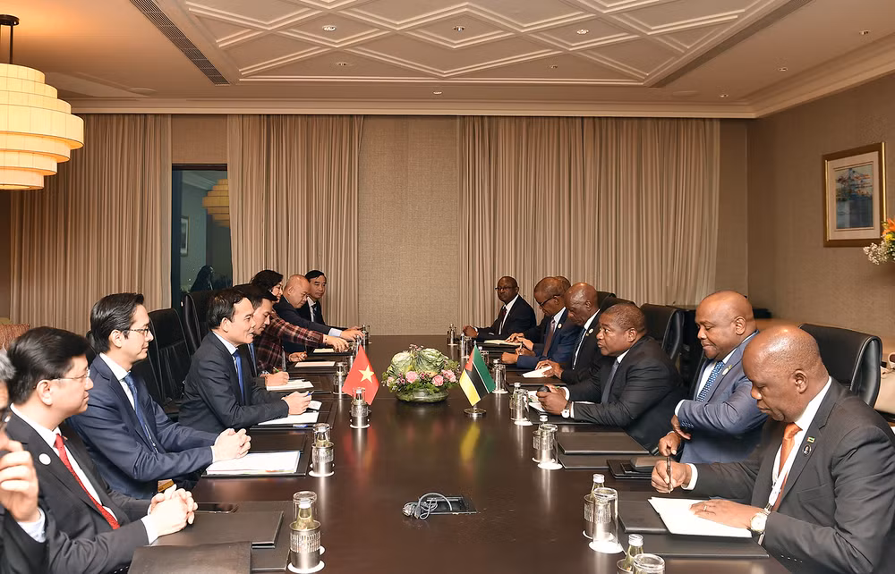 Phó Thủ tướng Trần Lưu Quang tại cuộc gặp với Tổng thống Mozambique Filipe Jacinto Nyusi.