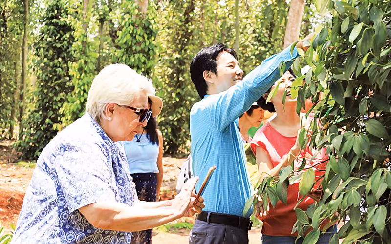 Chú trọng đổi mới, phát triển kinh tế tập thể