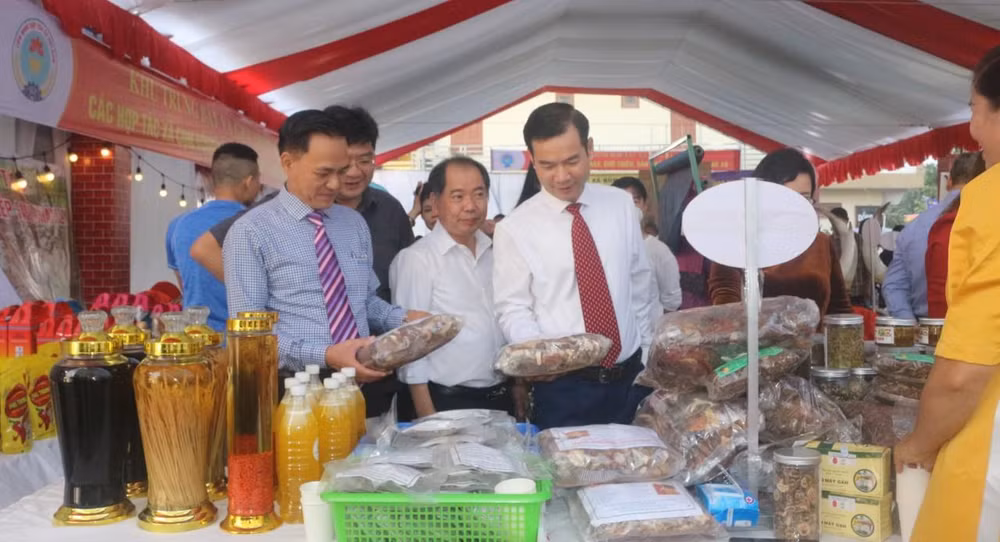 Các đại biểu tham quan các gian hàng giới thiệu sản phẩm. Các đại biểu tham quan các gian hàng giới thiệu sản phẩm.