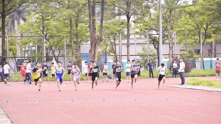 Giải điền kinh học sinh TP Hà Nội năm học 2024-2025