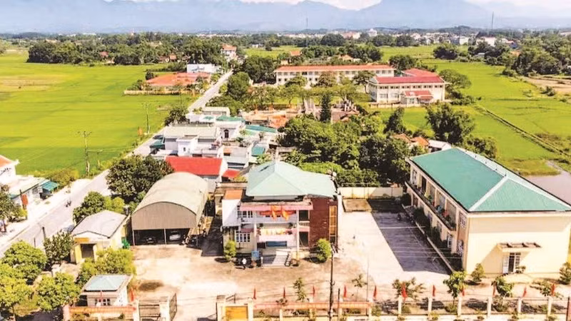 Các mô hình sản xuất nông nghiệp tập trung đã tạo động lực để xã Đầm Hà phát triển bền vững.