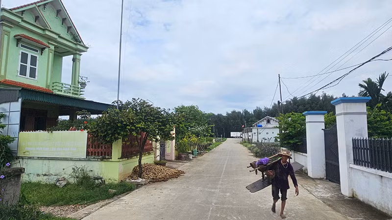 Đường giao thông ở xã Đa Lộc, huyện Hậu Lộc được kiên cố hóa, kết nối với tuyến đê biển.