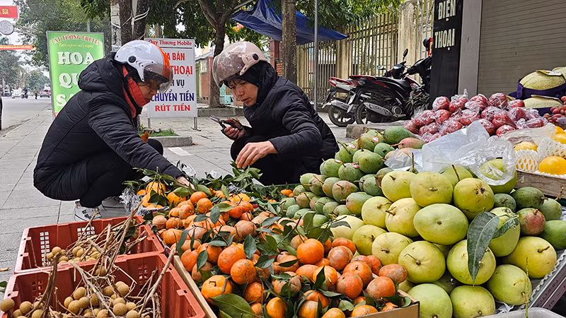 Người dân Thọ Xuân chọn mua hoa quả. Người dân Thọ Xuân chọn mua hoa quả.