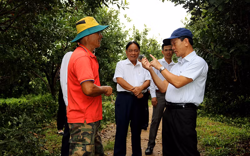 Đồng chí Dương Văn Trang (người ngoài cùng bên phải) thăm mô hình trồng cây mắc-ca tại huyện Kon Rẫy. 