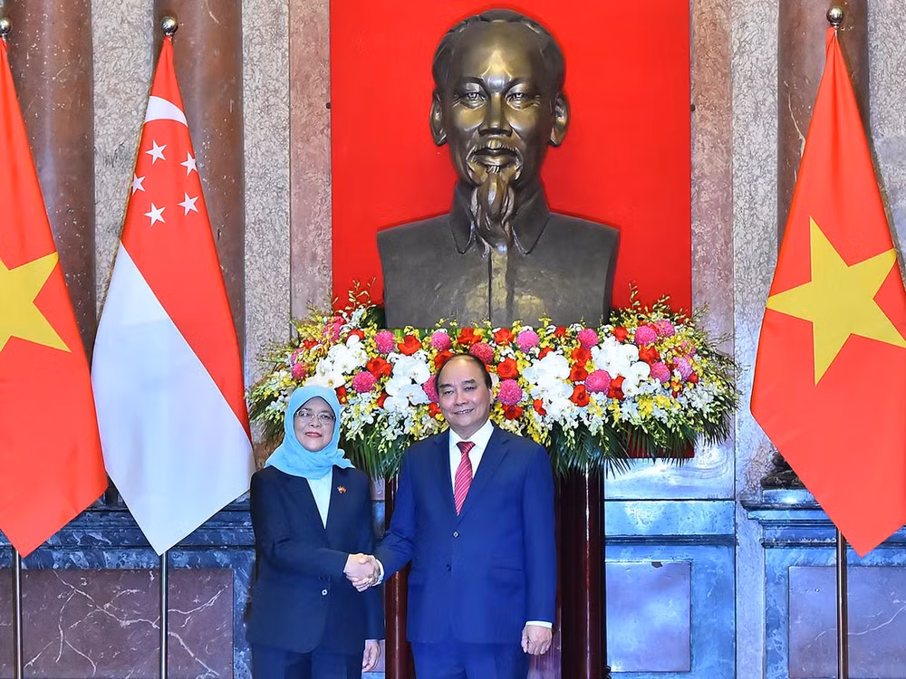 [Ảnh] Chủ tịch nước Nguyễn Xuân Phúc đón, hội đàm với Tổng thống Cộng hòa Singapore Halimah Yacob ảnh 4