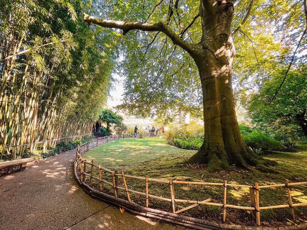 [Ảnh] Ghé Giverny thăm nhà vườn của danh họa người Pháp Claude Monet ảnh 1