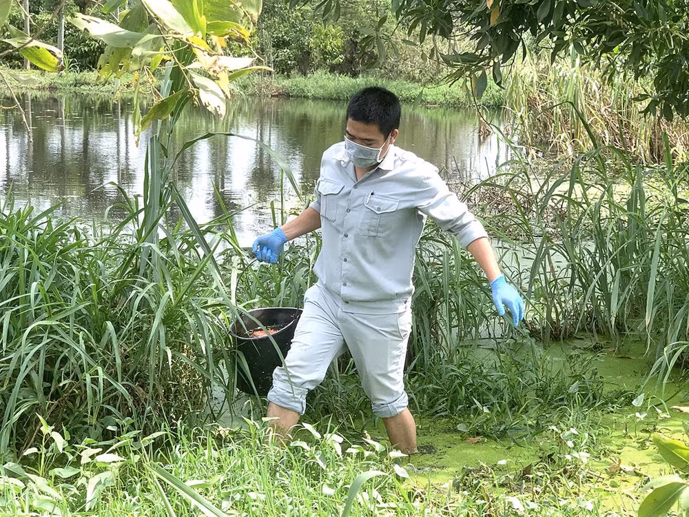 Đoàn kiểm tra lấy mẫu nước từ hồ chứa nước thải trang trại chăn nuôi để về phân tích kiểm tra.