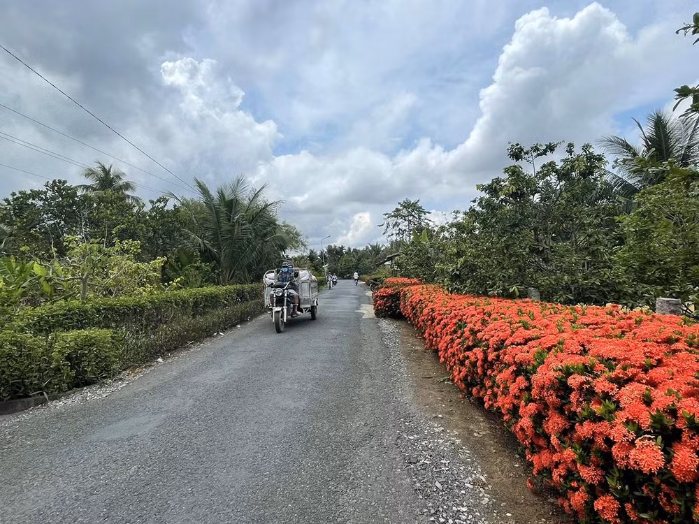 Một tuyến đường nông thôn mới ở thị xã Long Mỹ. Một tuyến đường nông thôn mới ở thị xã Long Mỹ.