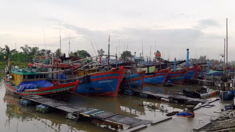 Phương tiện nghề cá tỉnh Thanh Hóa neo đậu an toàn tại âu tránh trú bão.
