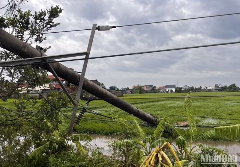 Cột điện trung thế ở xã Thái Thọ, huyện Thái Thụy bị ngã đổ sau bão số 3. Cột điện trung thế ở xã Thái Thọ, huyện Thái Thụy bị ngã đổ sau bão số 3.
