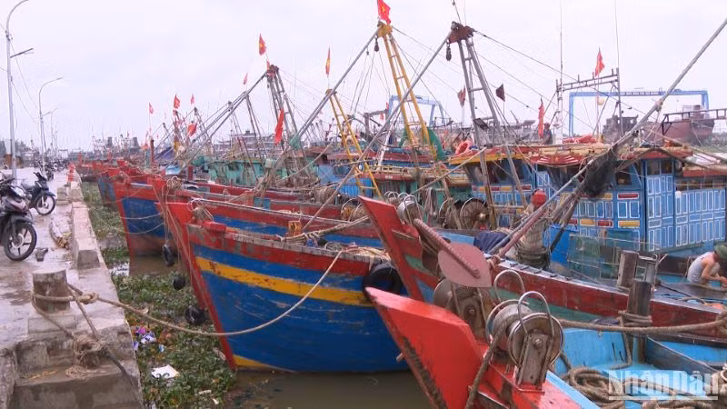 Tàu thuyền huyện Tiền Hải vào nơi tránh trú. Tàu thuyền huyện Tiền Hải vào nơi tránh trú.