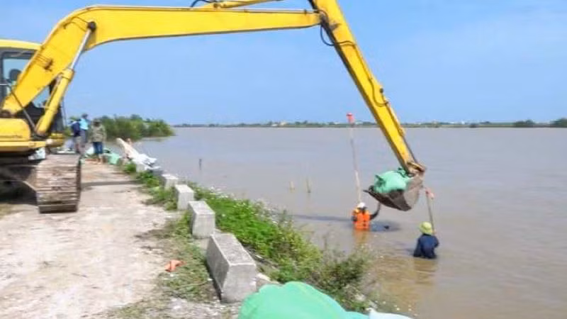 Huyện Tiền Hải (tỉnh Thái Bình) sử dụng xe máy cắm cừ tre để ổn định mái kè, chống sạt lở. (Ảnh TRÍ TUỆ)