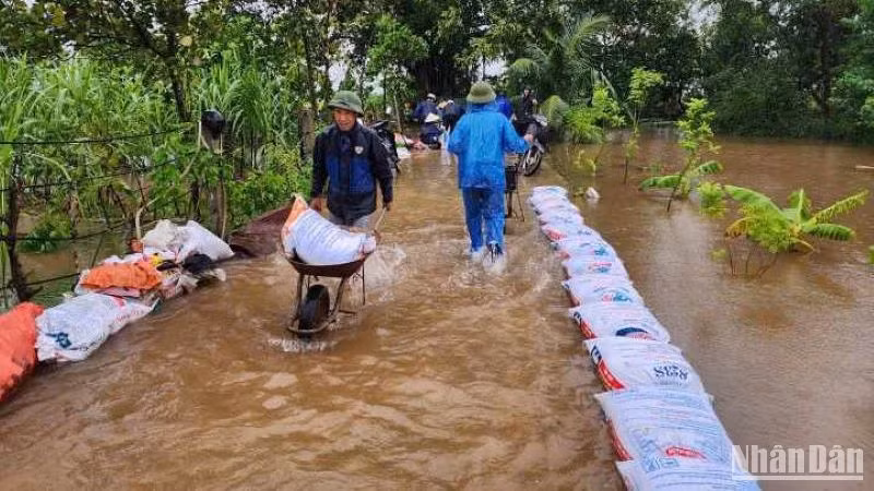 Huyện Vũ Thư (tỉnh Thái Bình) dồn sức chống úng ngập cho 75 ha lúa, hoa màu tại xã Xuân Hòa.