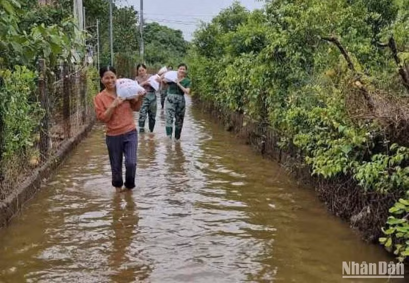 Hội Phụ nữ huyện Vũ Thư đi bộ, lội nước đến các gia đình hội viên nghèo để cấp phát gạo. Hội Phụ nữ huyện Vũ Thư đi bộ, lội nước đến các gia đình hội viên nghèo để cấp phát gạo.