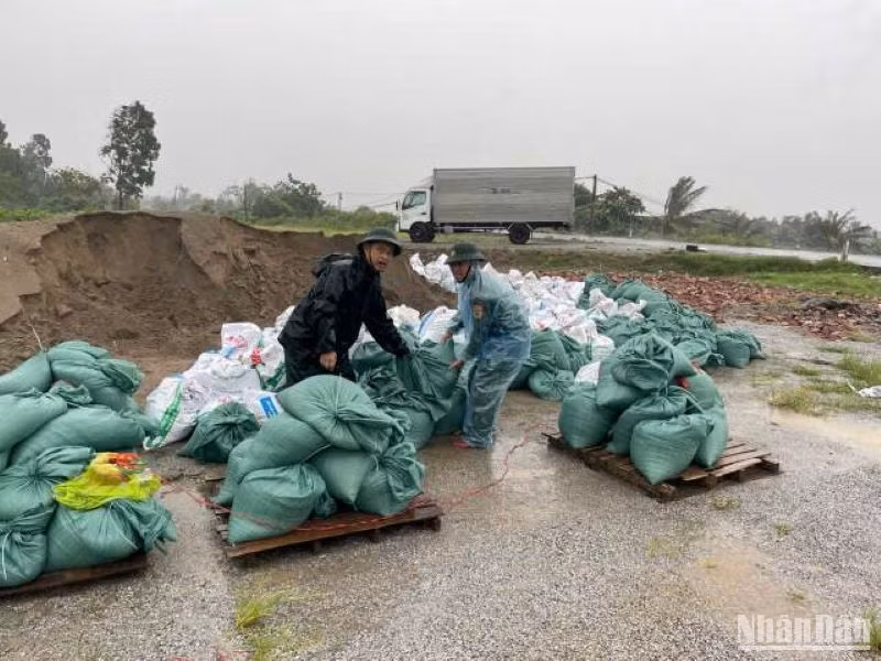 Lực lượng hộ đê xã Thụy Xuân cho cát vào bao tải để xử lý tình huống khi bão gây ảnh hưởng cho các tuyến đê. (Ảnh chụp lúc 9 giờ ngày 7/9) Lực lượng hộ đê xã Thụy Xuân cho cát vào bao tải để xử lý tình huống khi bão gây ảnh hưởng cho các tuyến đê. (Ảnh chụp lúc 9 giờ ngày 7/9)
