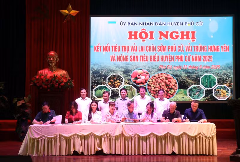 Doanh nghiệp và hợp tác xã ký biên bản ghi nhớ hợp tác tiêu thụ sản phẩm vải lai chín sớm Phù Cừ và vải trứng Hưng Yên.