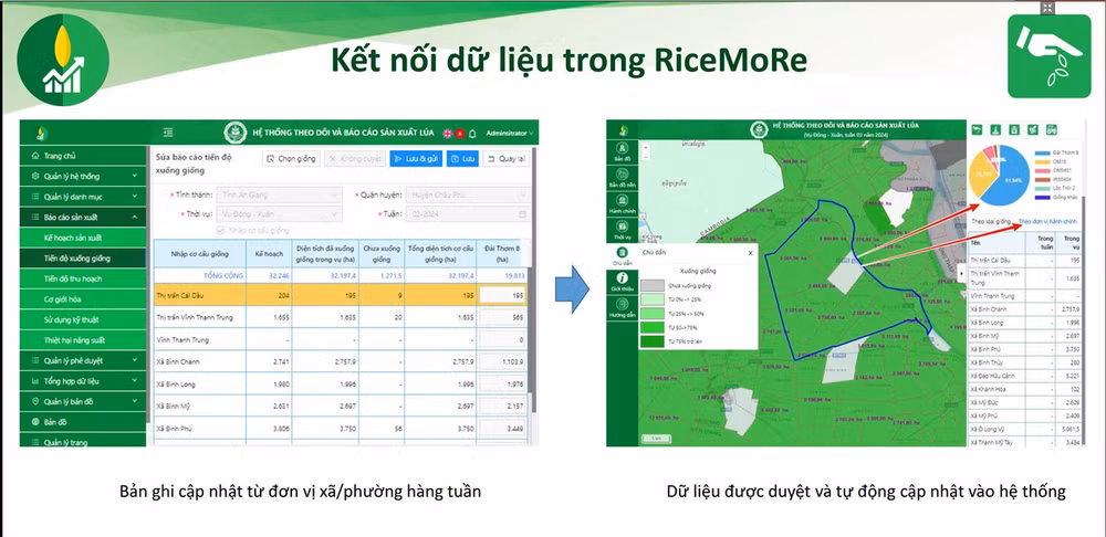 RiceMore có các hợp phần lưu trữ và xử lý dữ liệu sản xuất, giúp tính toán lượng phát thải khí nhà kính từ canh tác lúa từ cấp đồng ruộng. RiceMore có các hợp phần lưu trữ và xử lý dữ liệu sản xuất, giúp tính toán lượng phát thải khí nhà kính từ canh tác lúa từ cấp đồng ruộng.