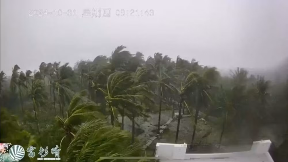 Cảnh cây cối bị gió mạnh thổi bay khi bão Kong-rey đổ bộ vào đất liền tại huyện Đài Đông, Đài Loan (Trung Quốc). (Ảnh: Reuters)