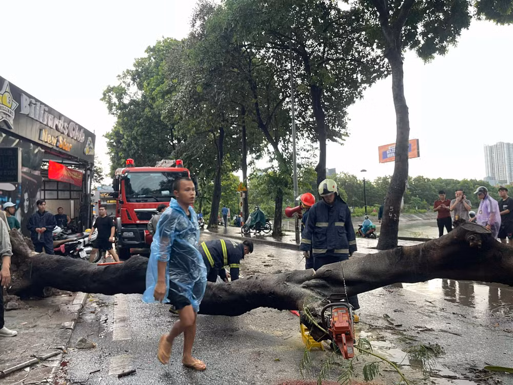 Cây đổ tại đường Nguyễn Hữu Thọ khiến 2 người tham gia giao thông thương vong.