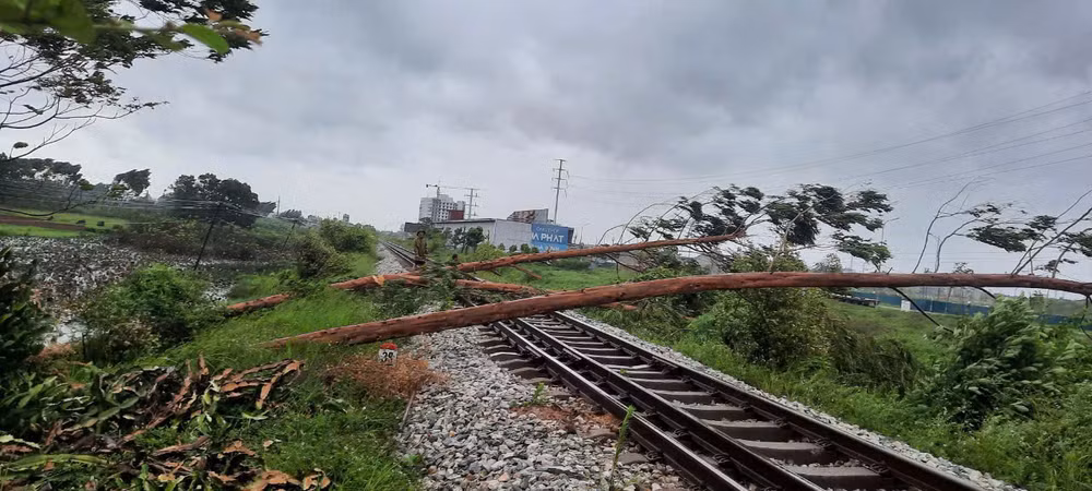 Cây đổ trên tuyến đường sắt Hà Nội - Đồng Đăng. 