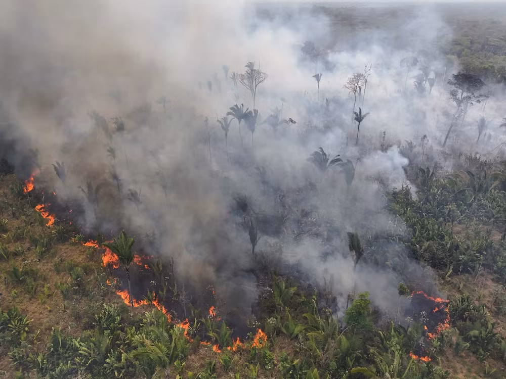 Hạn hán kỷ lục khiến số vụ cháy rừng tại Brazil tăng mạnh trong năm 2024. (Ảnh: Reuters) Hạn hán kỷ lục khiến số vụ cháy rừng tại Brazil tăng mạnh trong năm 2024. (Ảnh: Reuters)