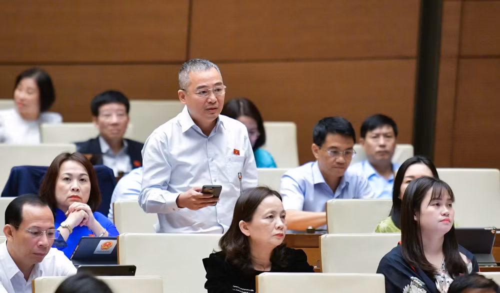 Đại biểu Nguyễn Lân Hiếu.