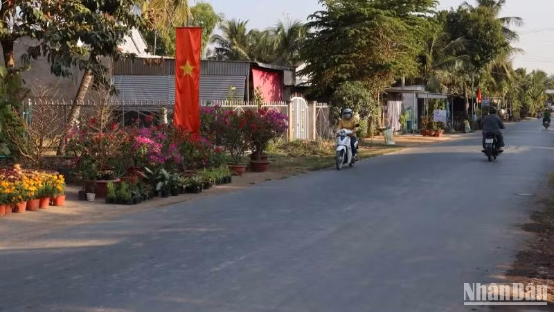 Một góc vùng quê thị xã Tân Châu.