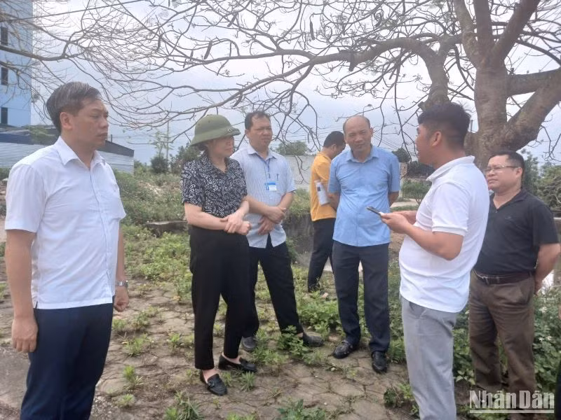 Chủ tịch Ủy ban nhân dân huyện Vũ Thư Phạm Thị Như Phong cùng Hội đồng giải phóng mặt bằng kiểm tra thực địa tại các xã có đường dây 500KV đi qua.
