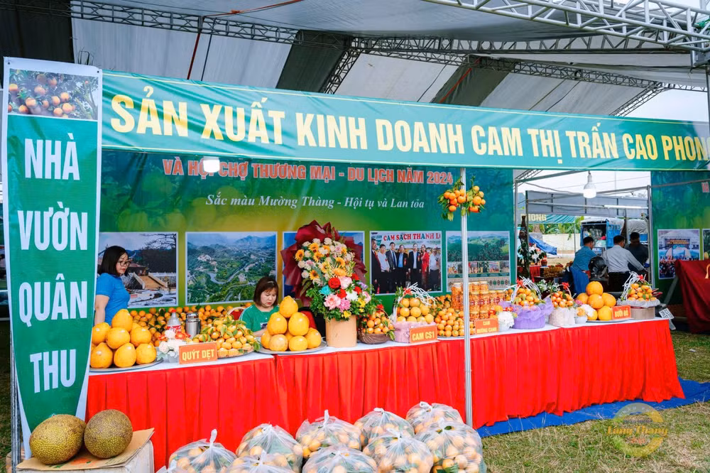 Đẩy mạnh quảng bá thương hiệu Cam Cao Phong