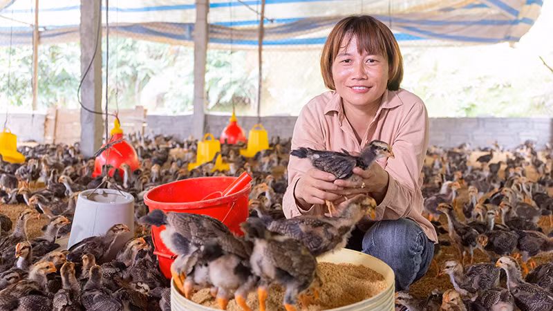 Phụ nữ tham gia Mô hình tiết kiệm tín dụng thôn bản tự quản (VSLA) tại Yên Bái giúp giảm nghèo. (Ảnh: CARE quốc tế tại Việt Nam)