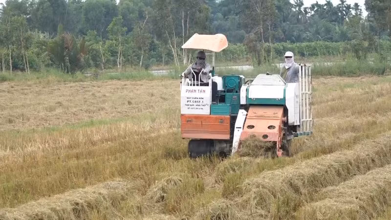Máy đang thu gom rơm rạ trên đồng.