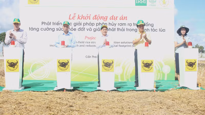 Lễ phát động dự án phát triển giải pháp phân hủy rơm rạ trên đồng ruộng. Lễ phát động dự án phát triển giải pháp phân hủy rơm rạ trên đồng ruộng.