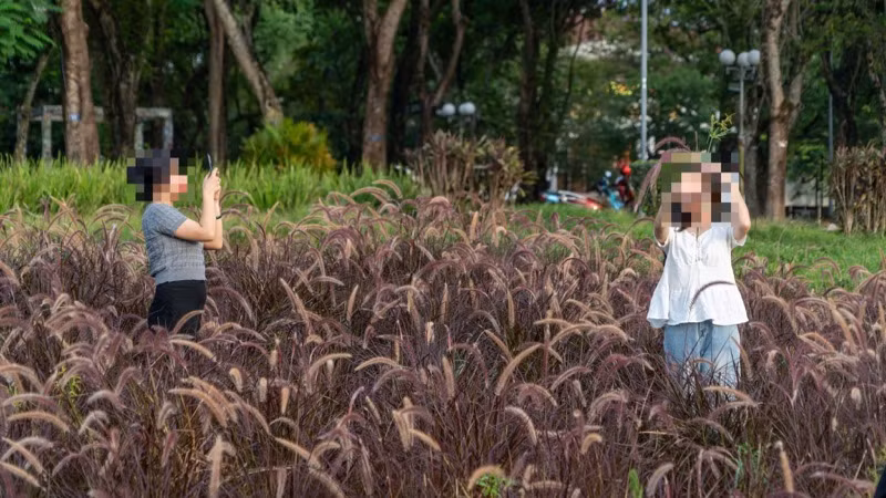 Lần nữa người ta nhắc đến câu chuyện "đẹp mà không đẹp" được học từ cấp tiểu học.