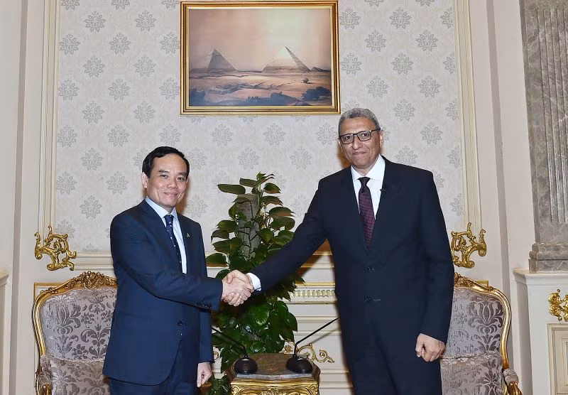 Phó Thủ tướng Trần Lưu Quang gặp Phó Chủ tịch thứ nhất Hạ viện Ai Cập. 