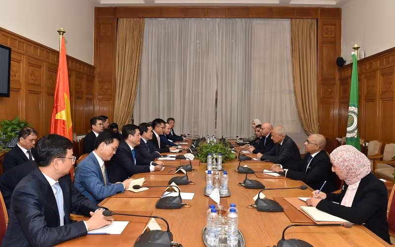 Phó Thủ tướng Trần Lưu Quang làm việc với Tổng thư ký Liên đoàn Arab Ahmed Aboul Gheit.