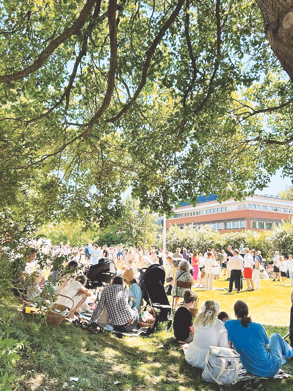Ngày hạ chí rộn ràng.