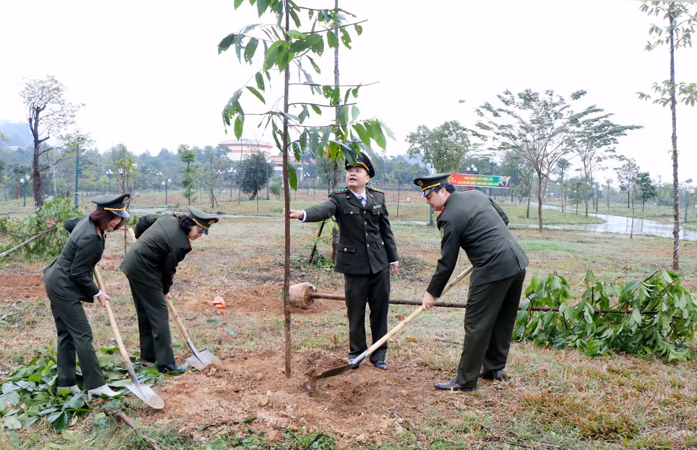 Năm 2023, tỉnh Phú Thọ phấn đấu trồng 2 triệu cây phân tán.