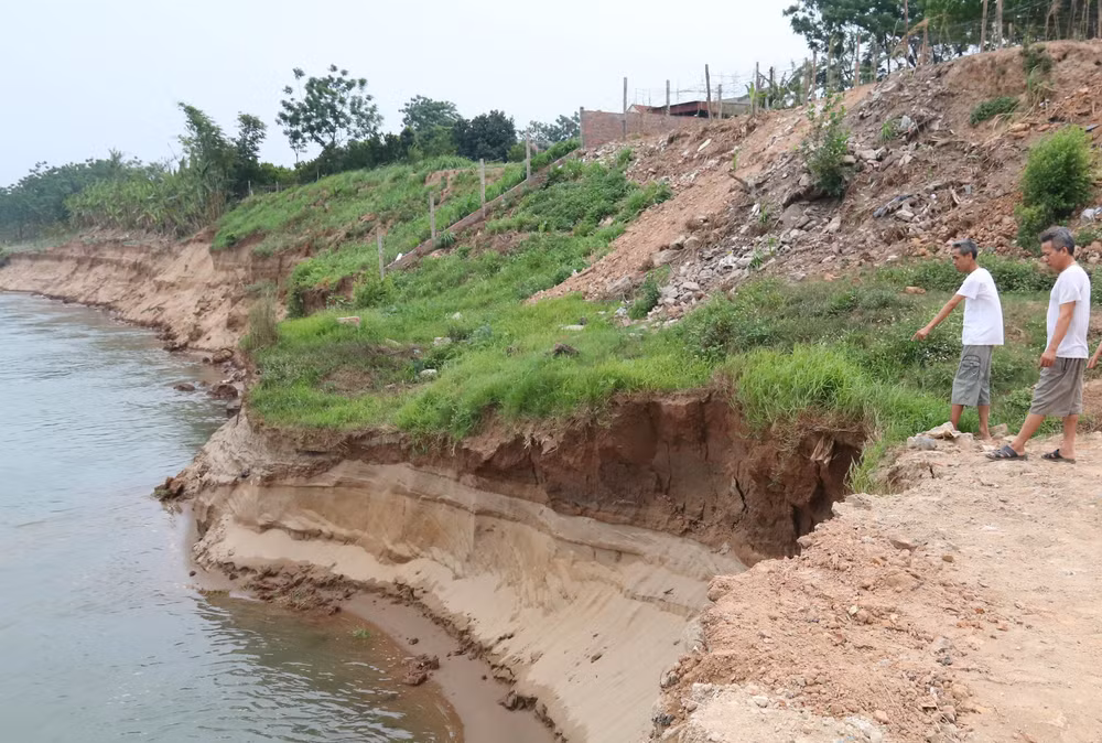 Nhiều người dân khu 13 cảm thấy bất an vì tình trạng sạt lở bờ vở sông diễn ra ngày càng nhanh. Nhiều người dân khu 13 cảm thấy bất an vì tình trạng sạt lở bờ vở sông diễn ra ngày càng nhanh.