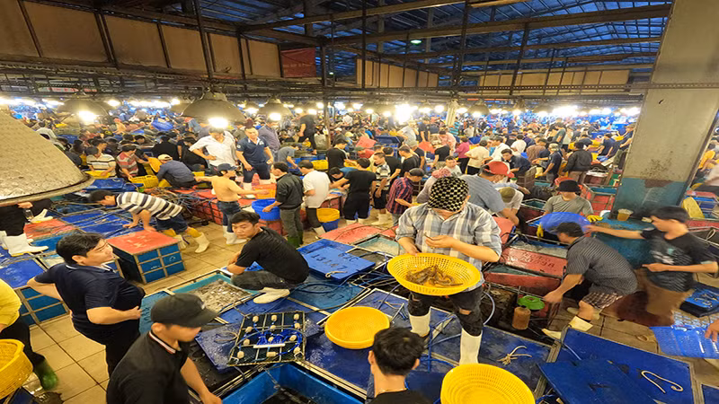 Chợ đầu mối Nông sản Thực phẩm Bình Điền cung cấp gần 80% hải sản tươi sống cho Thành phố Hồ Chí Minh và các khu vực lân cận.