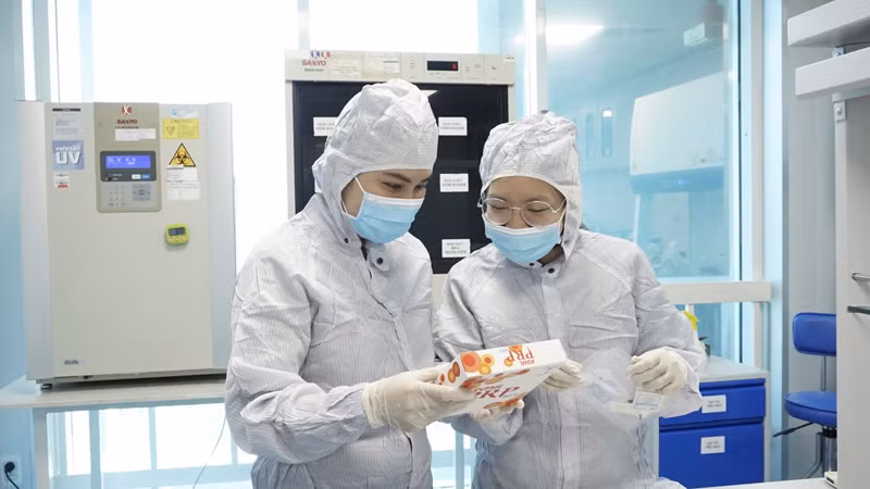 Giảng viên, sinh viên Đại học Quốc gia Thành phố Hồ Chí Minh trong giờ nghiên cứu (ảnh: CTV).
