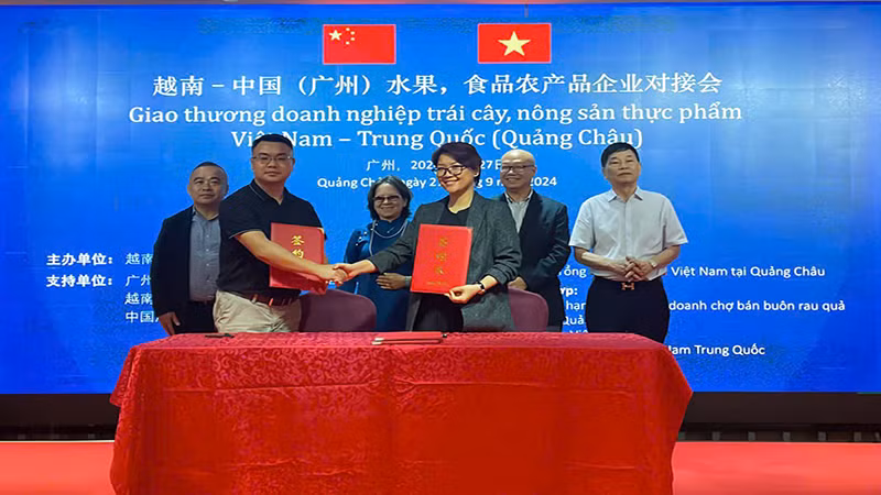 Betrimex và Thương hội Nhập khẩu trái cây Giang Nam-Quảng Châu ký kết Biên bản ghi nhớ việc thúc đẩy xuất khẩu dừa tươi Việt Nam vào thị trường Trung Quốc 