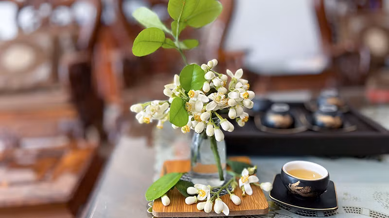 Hoa bưởi trang trí không gian nhà thêm ngọt ngào, ấm cúng.