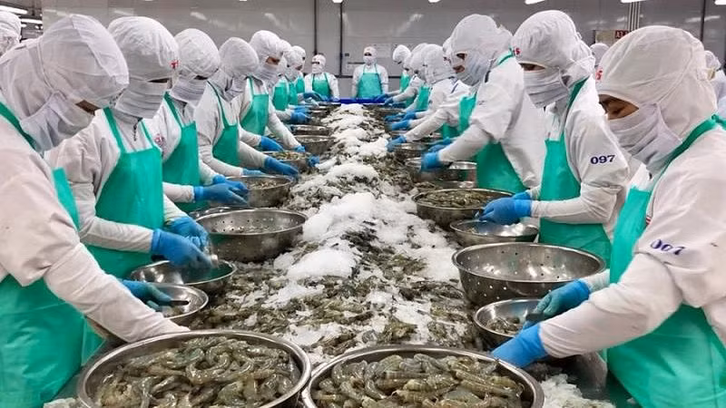 Tôm là một trong những mặt hàng thủy sản xuất khẩu quan trọng của Việt Nam sang Mỹ.