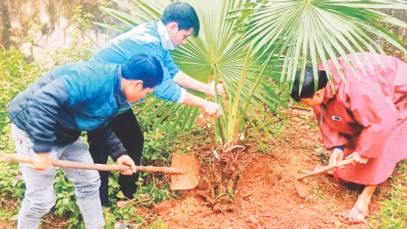 Người dân xã A Bung, huyện ĐaKrông (Quảng Trị) trồng cây dọc các tuyến đường mẫu.