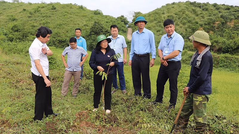 Lãnh đạo Hội đồng nhân dân tỉnh Điện Biên giám sát tiến độ dự án hỗ trợ sản xuất tại huyện Điện Biên Đông. 