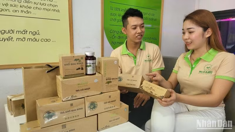 Trà dược liệu từ cây cỏ ngọt nằm trong sản phẩm khởi nghiệp của thành phố Cần Thơ. Trà dược liệu từ cây cỏ ngọt nằm trong sản phẩm khởi nghiệp của thành phố Cần Thơ.